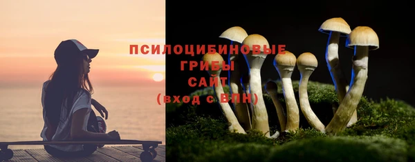 мескалин Нязепетровск
