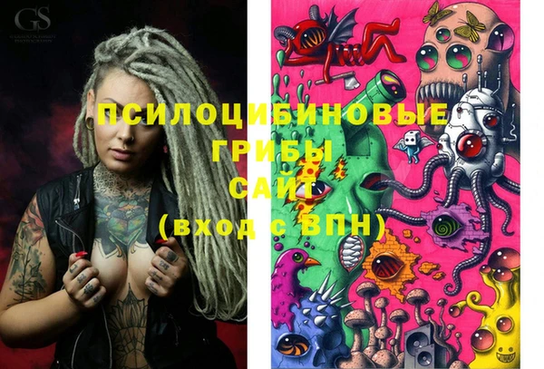 первитин Няндома