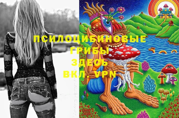 первитин Няндома