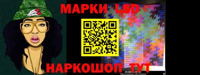 спиды Гатчина