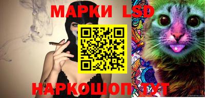 спиды Гатчина
