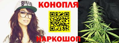 спиды Гагарин