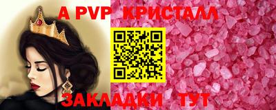 спиды Гатчина