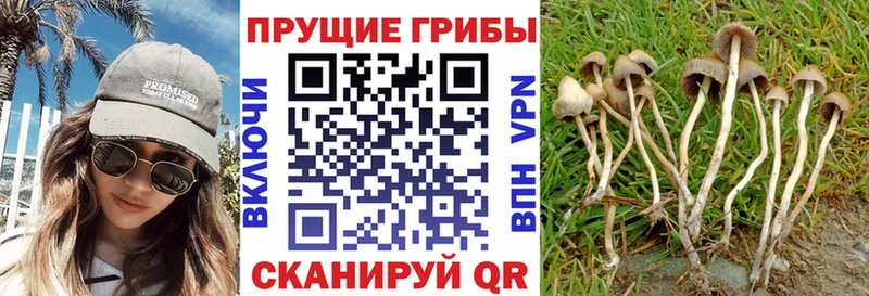 Галлюциногенные грибы Magic Shrooms  Советский 