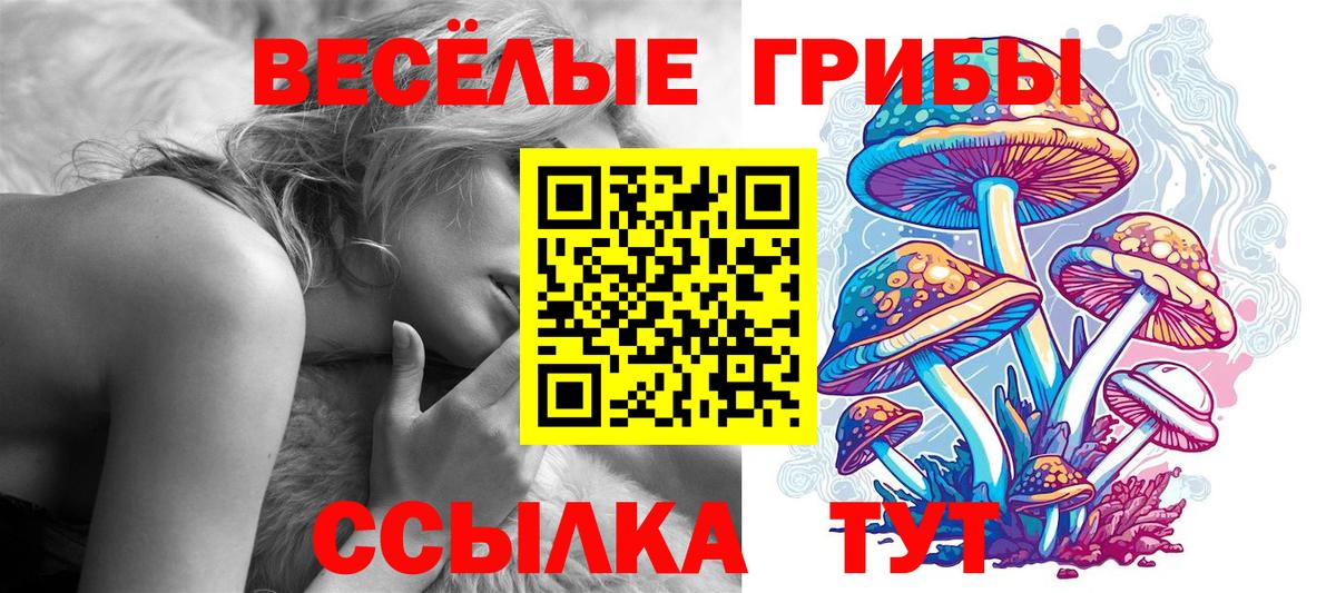 Псилоцибиновые грибы Psilocybine cubensis Советский